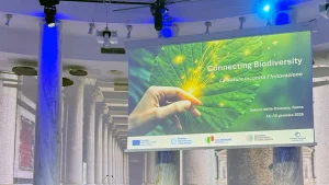 Quando la ricerca incontra l’innovazione