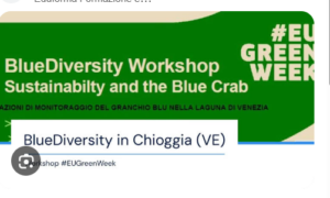 BlueDiversity a Chioggia: workshop su specie invasive e futuro della Laguna Veneta