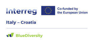 BlueDiversity: a Ston (Croazia), il confronto internazionale sulla tutela della biodiversità